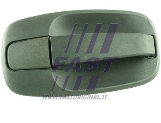 Exterior Door Handle (FT94577)
