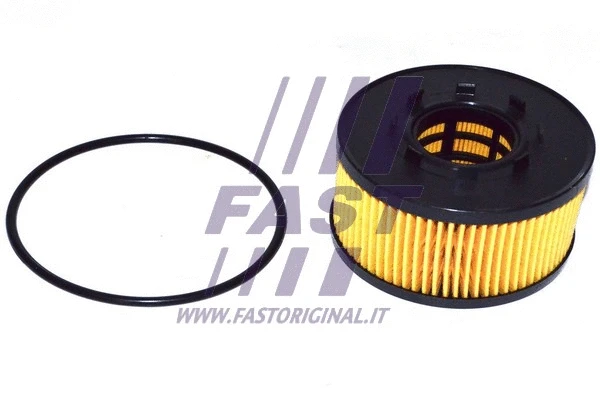 Oil Filter (FT38086)