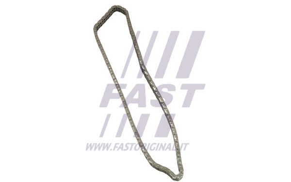 Timing Chain (FT41802)