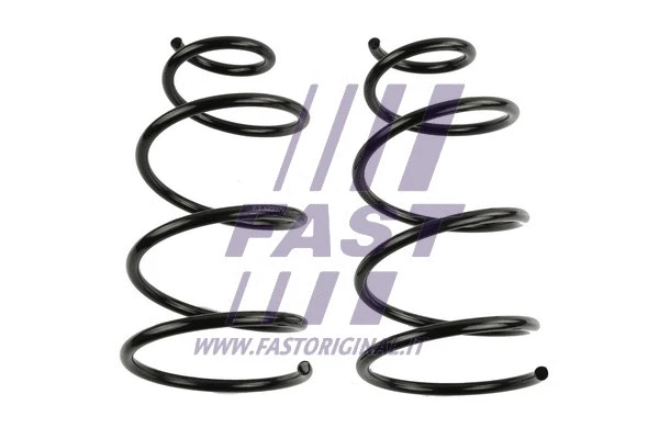 Suspension Spring (FT12237K)