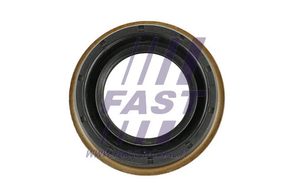 Shaft Seal, differential (FT49717)