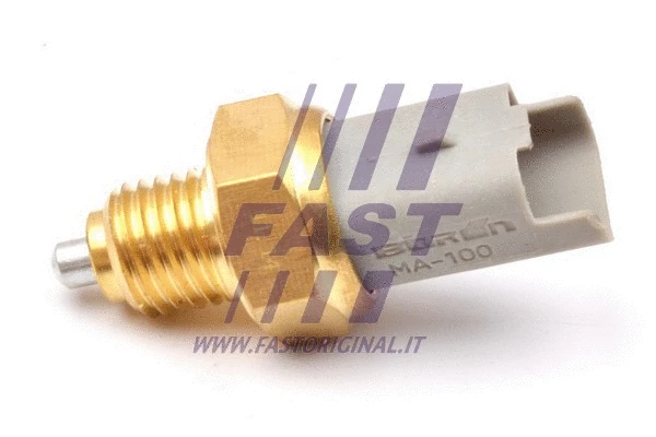 Switch, reverse light (FT81095)