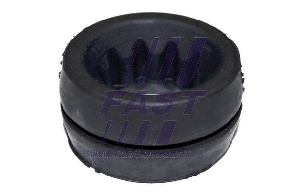 Holder, air filter housing (FT13053)