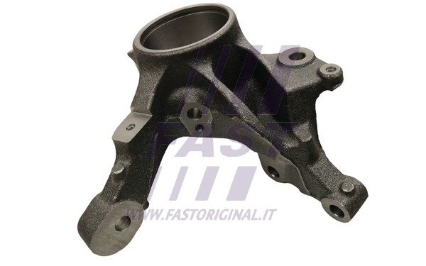 Steering Knuckle, wheel suspension (FT13555)