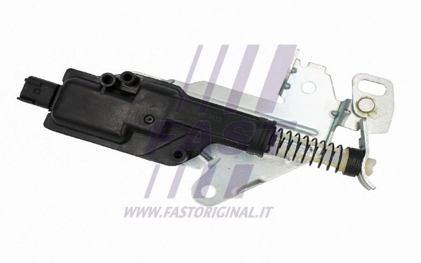 Tailgate Lock (FT00062)