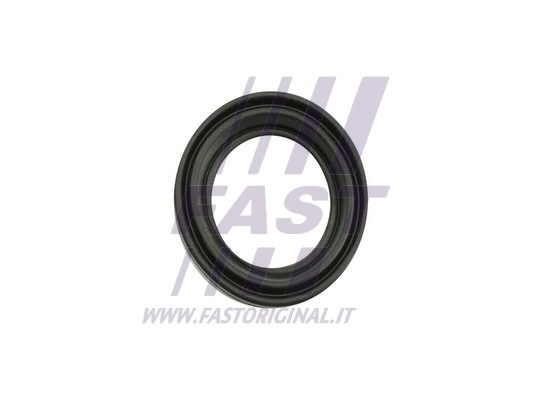 Repair Kit, brake caliper (FT32483)