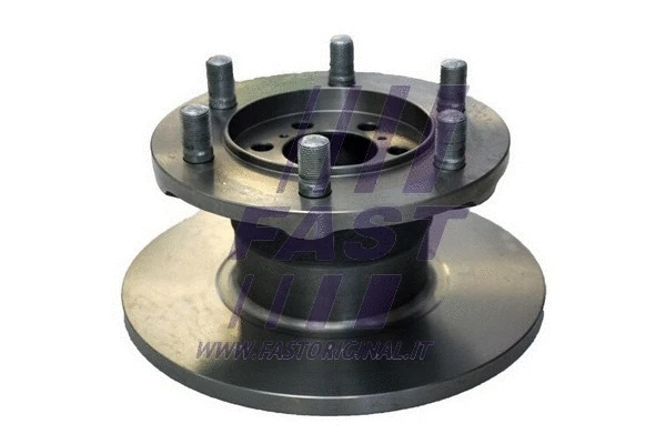 Brake Disc (FT31005)