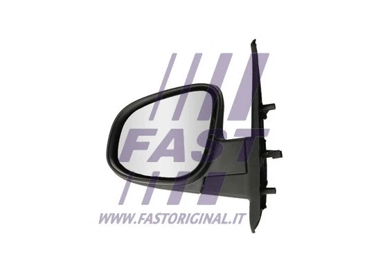 Exterior Mirror (FT88369)