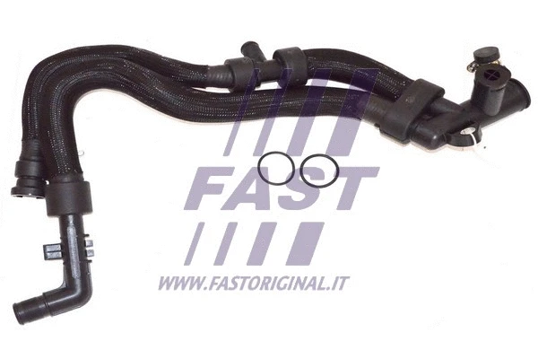 Radiator Hose (FT61461)