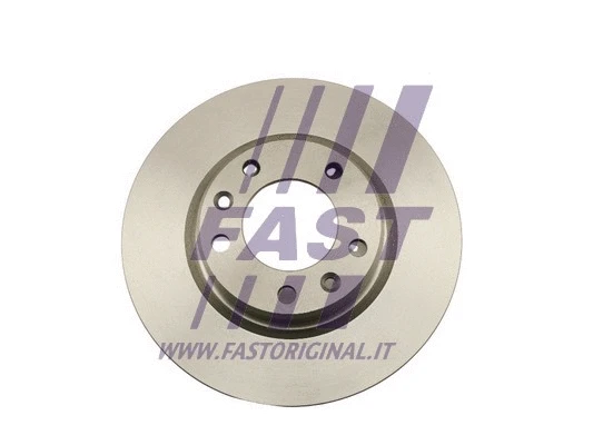 Brake Disc (FT31137)