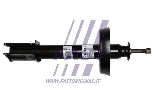 Shock Absorber (FT11569)