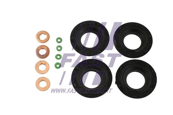 Seal Kit, injector nozzle (FT49850)