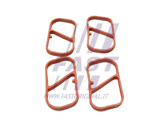 Gasket, intake manifold (FT49453)