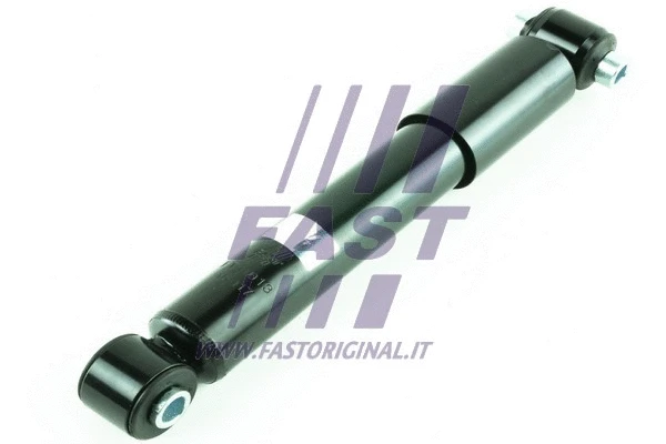 Shock Absorber (FT11013)