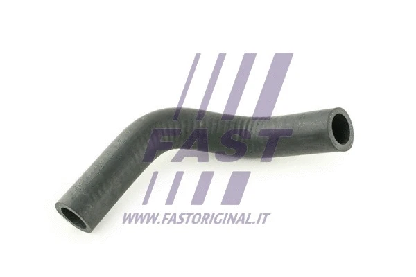 Radiator Hose (FT61681)
