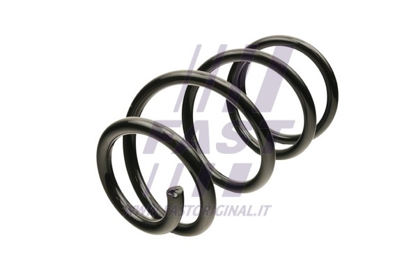 Suspension Spring (FT12291)