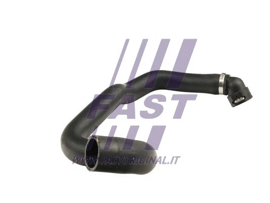 Radiator Hose (FT61443)