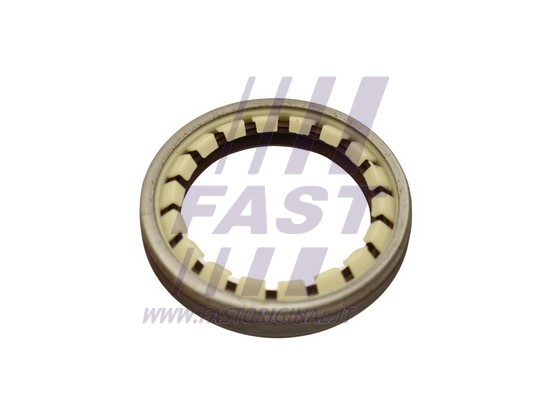 Shaft Seal, wheel bearing (FT49806)