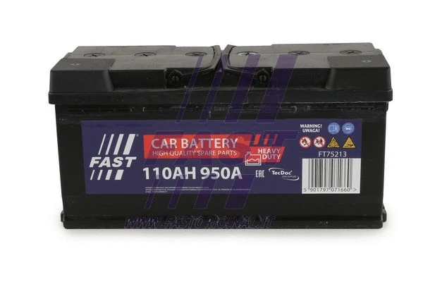 Starter Battery (FT75213)