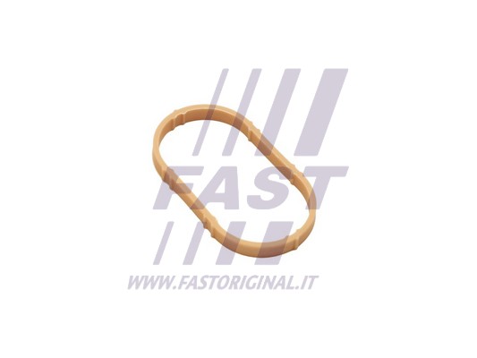 Gasket, intake manifold