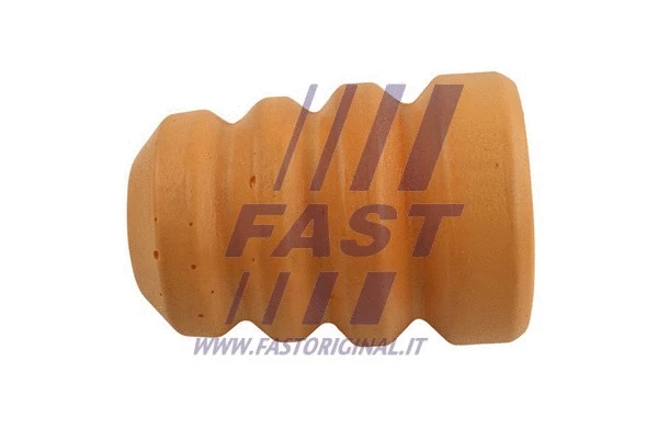 Dust Cover Kit, shock absorber (FT18113)