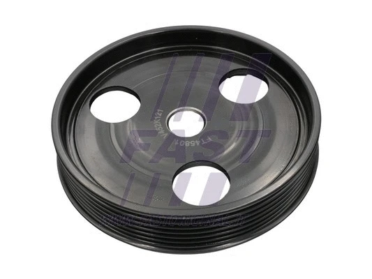 Belt Pulley, power steering pump (FT45801)