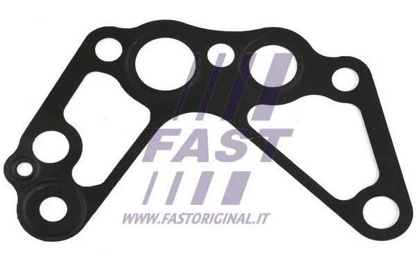 Gasket, oil pump (FT49907)