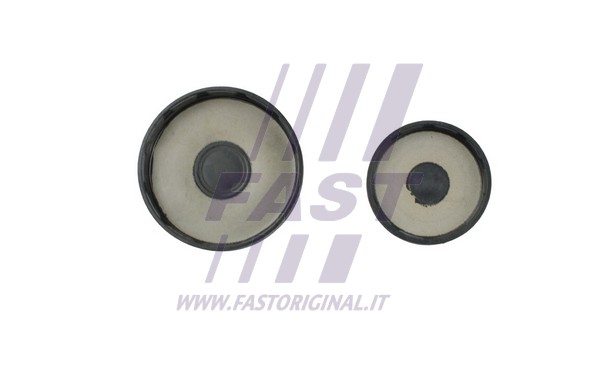 Frost Plug (FT50818)