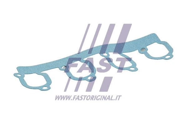 Gasket, intake manifold (FT49452)