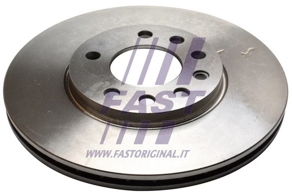 Brake Disc (FT31117)