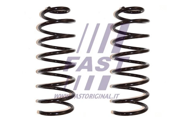 Suspension Spring (FT12209K)