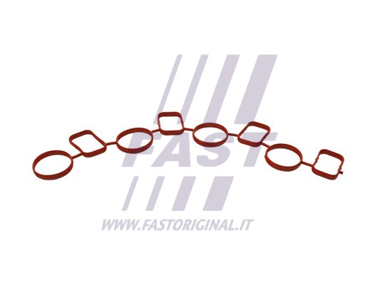 Gasket, intake manifold (FT49459)