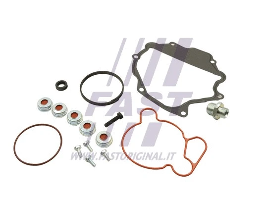 Repair Set, vacuum pump (braking system) (FT36032)