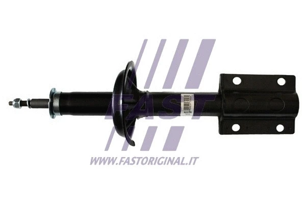 Shock Absorber (FT11005)