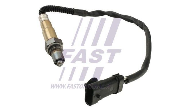 Lambda Sensor (FT54113)