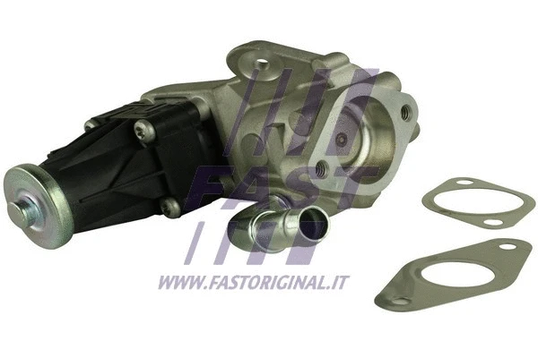 EGR Valve (FT60223)