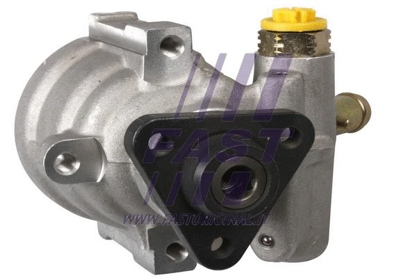 Hydraulic Pump, steering (FT36203)
