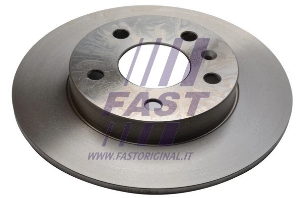 Brake Disc (FT31118)