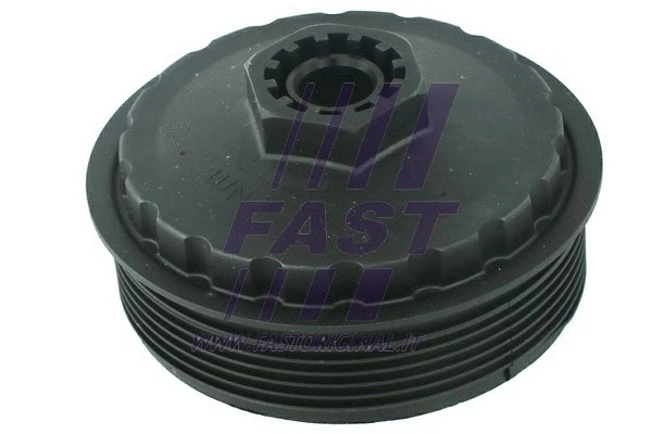 Cap, oil filter housing (FT94719)
