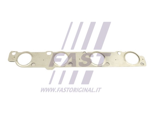 Gasket, exhaust manifold (FT49468)