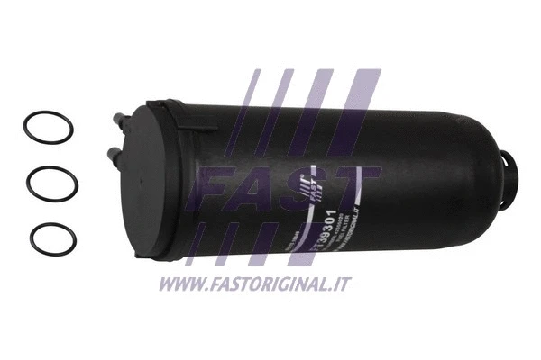 Fuel Filter (FT39301)