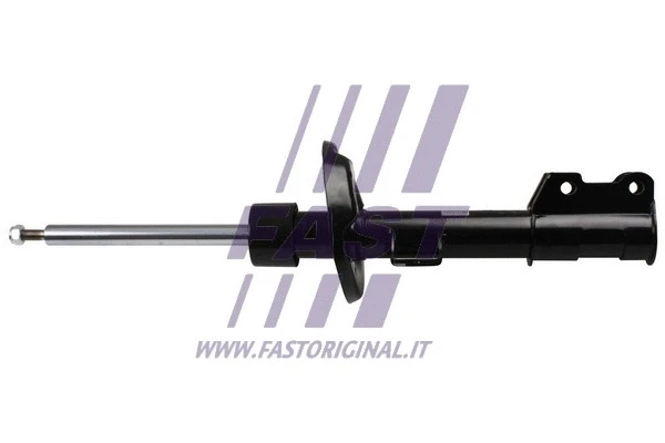 Shock Absorber (FT11289)