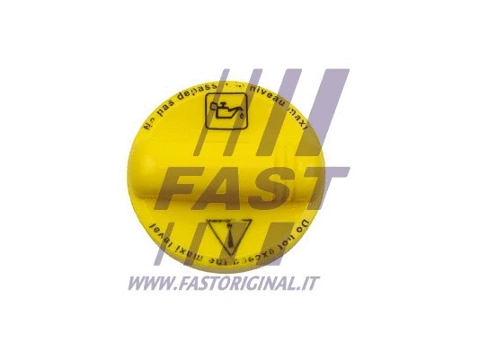 Sealing Cap, oil filler neck (FT94601)