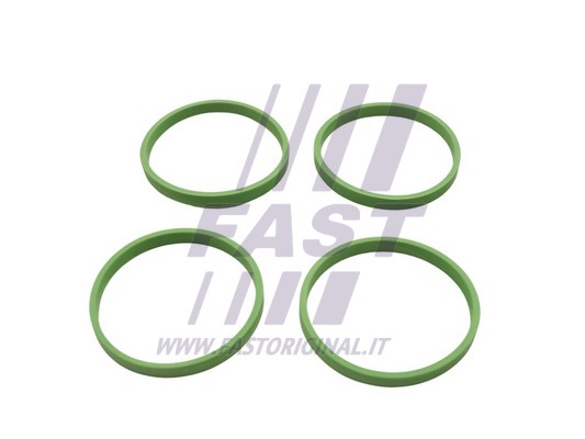 Gasket, intake manifold (FT49458)