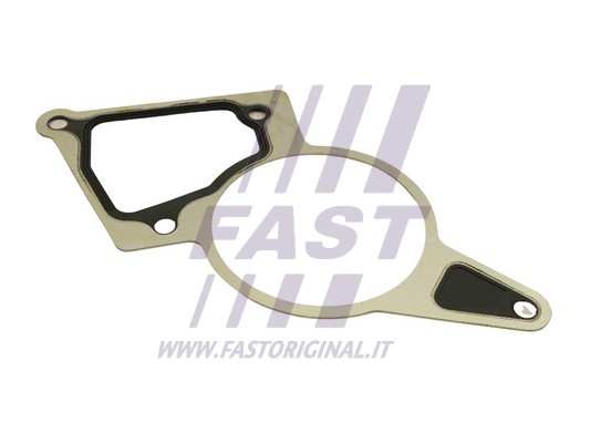 Gasket, vacuum pump
