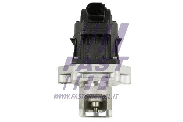 EGR Valve (FT60234)