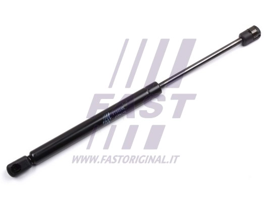 Gas Spring, boot/cargo area (FT94045)