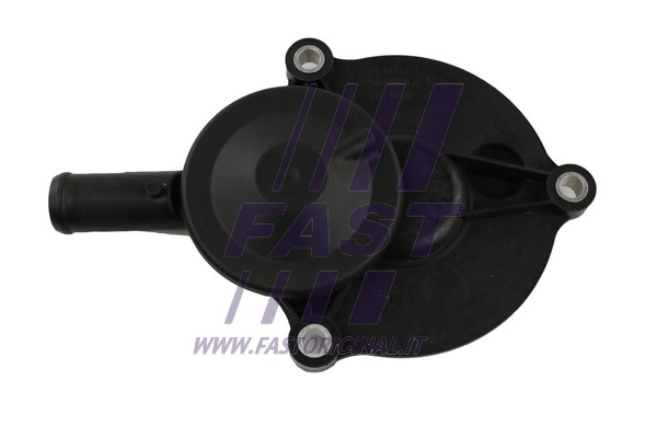 Valve, crankcase ventilation (FT60003)