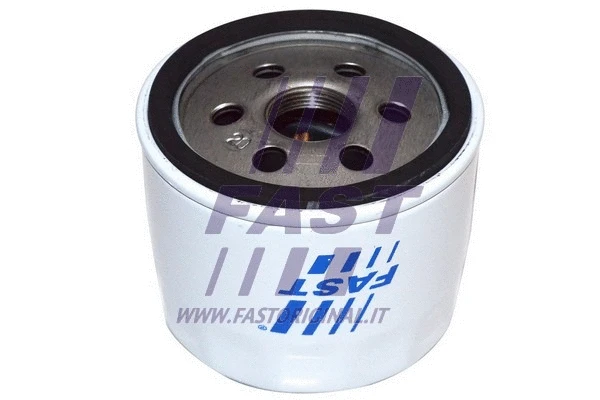 Oil Filter (FT38038)