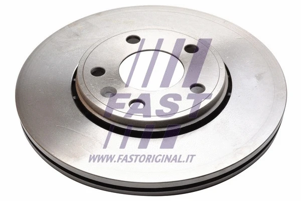 Brake Disc (FT31133)